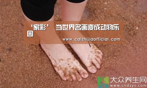 家彩走势分析