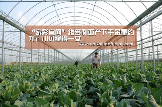 家彩