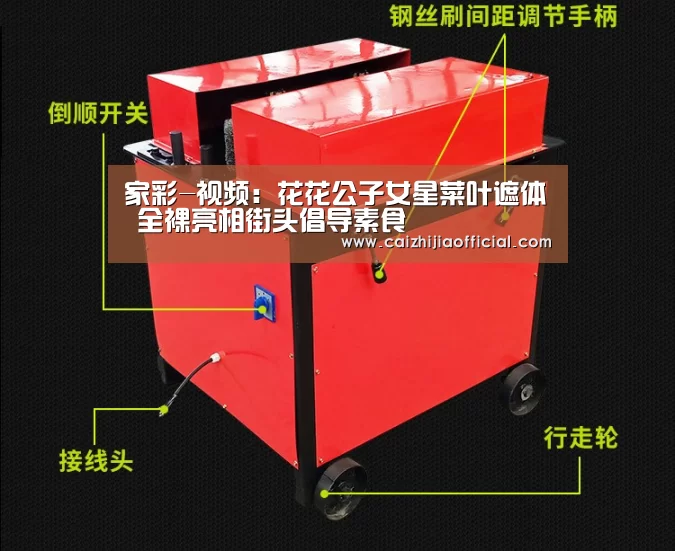 家彩走势分析
