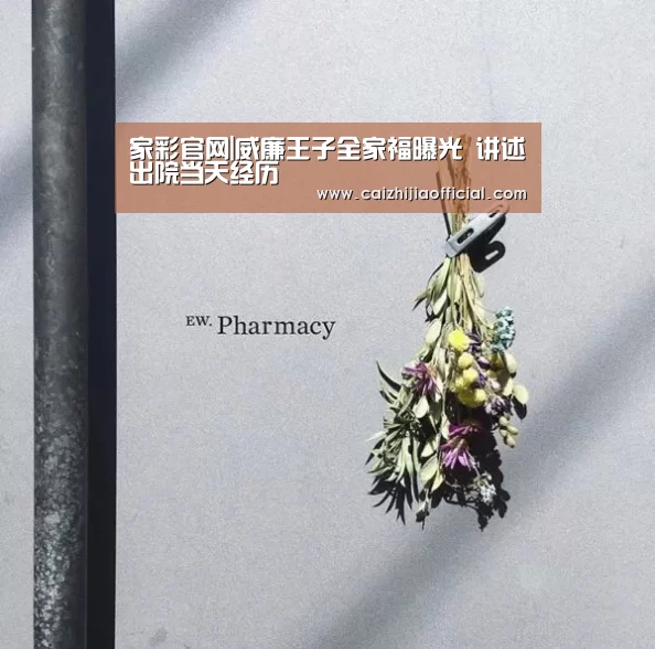 家彩开奖查询