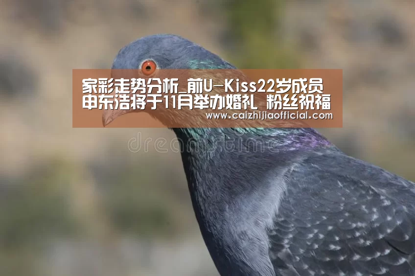 家彩走势分析_前U-Kiss22岁成员申东浩将于11月举办婚礼 粉丝祝福(图2) 家彩