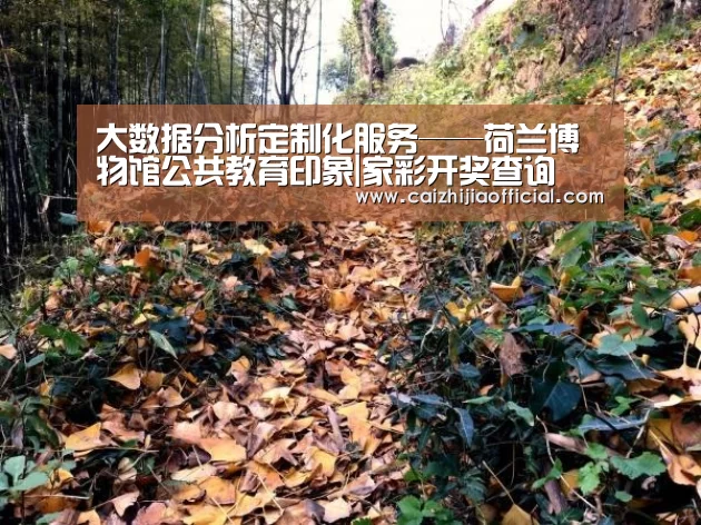 家彩