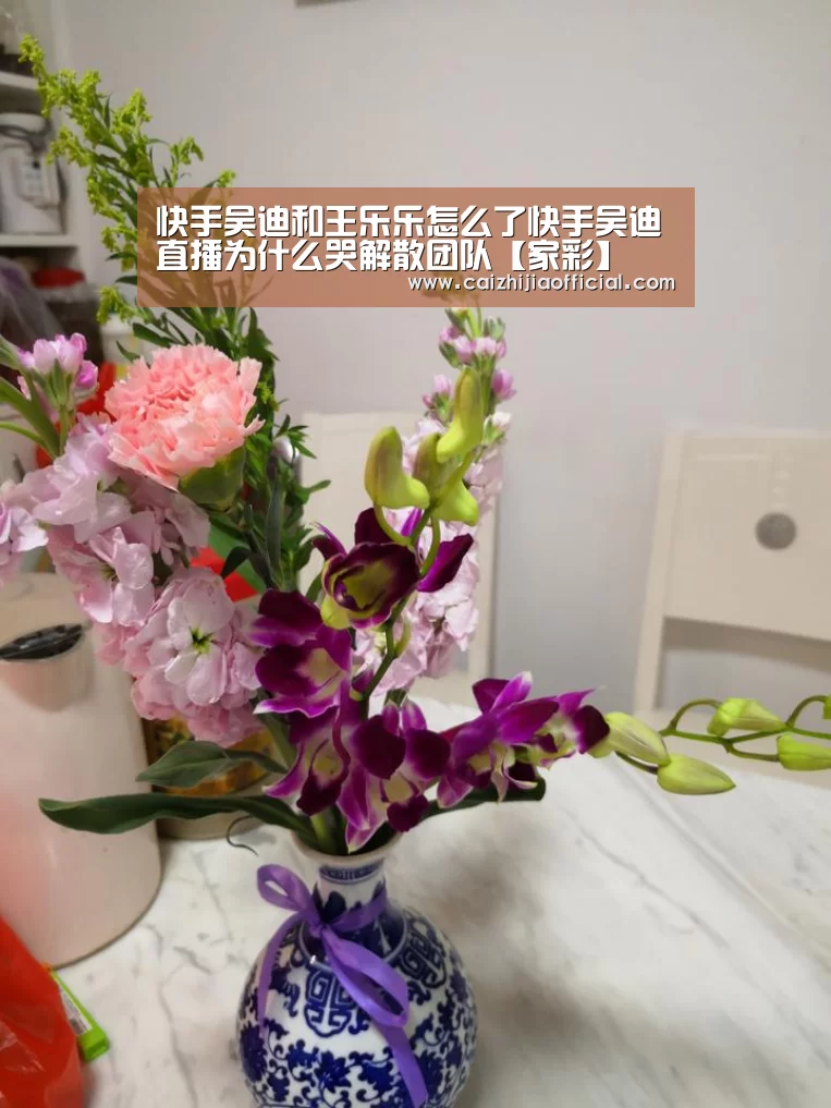 快手吴迪和王乐乐怎么了快手吴迪直播为什么哭解散团队【家彩】(图1) 家彩开奖查询