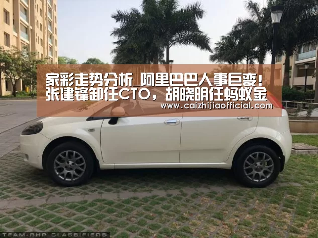 家彩走势分析